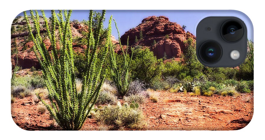 Color iPhone 14 Case featuring the photograph The High Desert -4 by Alan Hausenflock