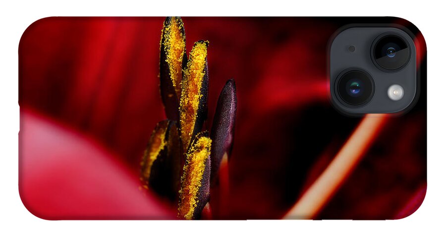 Scarlet Colored Lily iPhone 14 Case featuring the photograph The Insiders by Michael Eingle