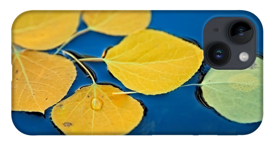 Fall iPhone 14 Case featuring the photograph The Outcast by Jonathan Nguyen