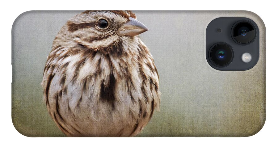 Sparrow iPhone Case featuring the photograph The Song Sparrow by Cathy Kovarik