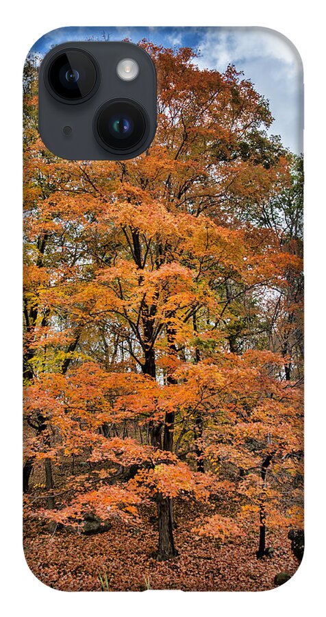 Tree iPhone 14 Case featuring the photograph The Stand Out by Cathy Kovarik
