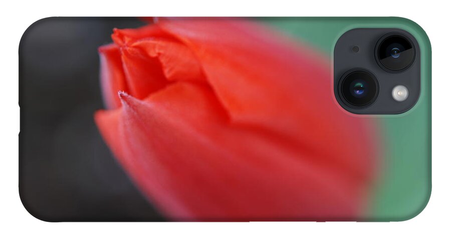 Tulip iPhone Case featuring the photograph The Tip of the Tulip by Kathy Paynter