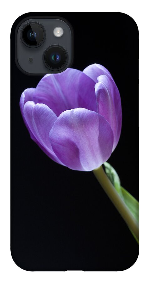 Floral iPhone Case featuring the photograph The Tulip is a Courtly Queen by Christi Kraft