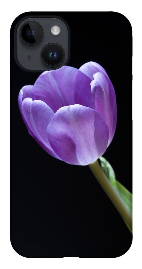 Floral iPhone 14 Case featuring the photograph The Tulip is a Courtly Queen by Christi Kraft