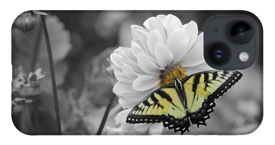 Tiger Butterfly iPhone 14 Case featuring the photograph Tiger Butterfly by GeeLeesa Productions