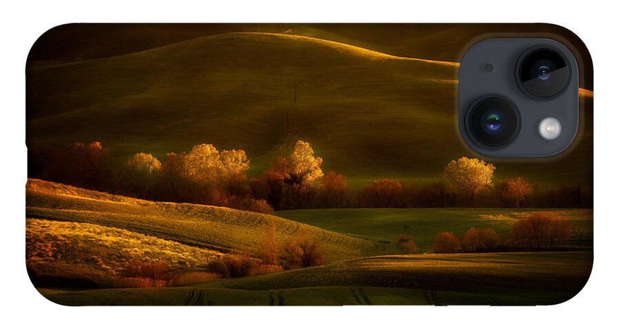 Toskany iPhone 14 Case featuring the photograph Golden fields of val d'Orcia by Jaroslaw Blaminsky