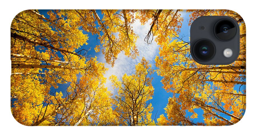 Aspens iPhone 14 Case featuring the photograph Towering Aspens by Darren White
