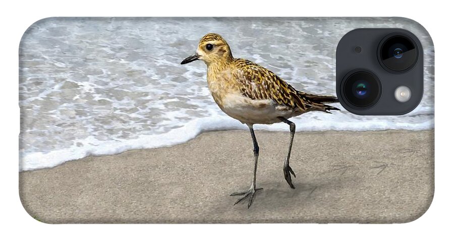 Golden Plover iPhone Case featuring the painting Treasure On The Beach by Stephen Jorgensen