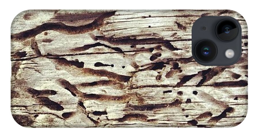 Icnature iPhone Case featuring the photograph Tree At Sea #nicsquirrell #nature #wood by Nic Squirrell