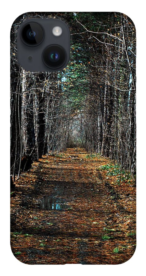 Path iPhone 14 Case featuring the photograph Tree Chute by David Armstrong