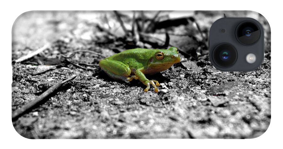 Frog iPhone 14 Case featuring the photograph Tree Frog by Andre Turner