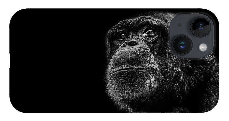 Chimpanzee Ape Portrait Low Key Wildlife Nature iPhone 14 Case featuring the photograph Trepidation by Paul Neville