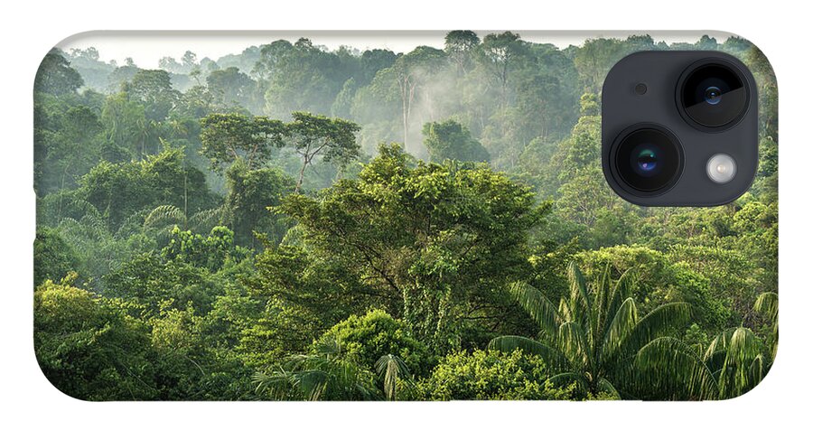 Scenics iPhone Case featuring the photograph Tropical Rainforest by Chanachai Panichpattanakij