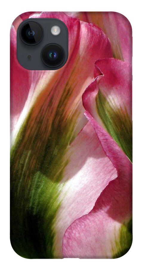 Tulip iPhone Case featuring the photograph Tulip by Andrea Lazar