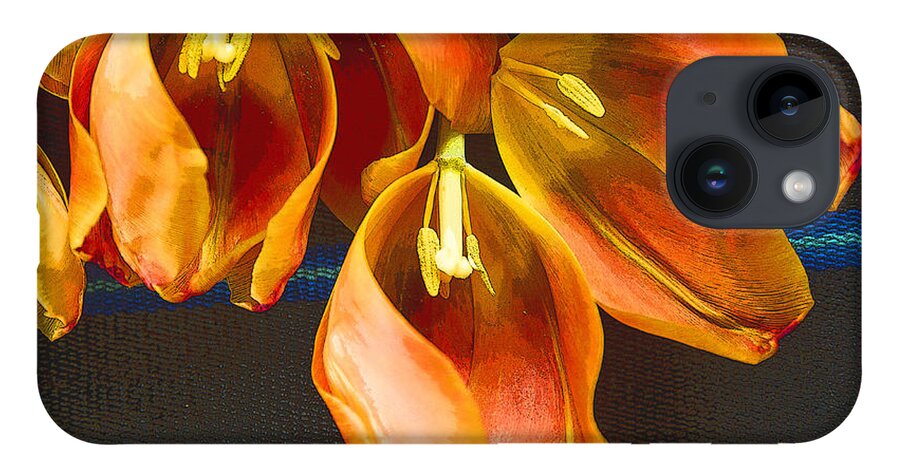 Color iPhone 14 Case featuring the photograph Tulip Study 2 by Jeanette French
