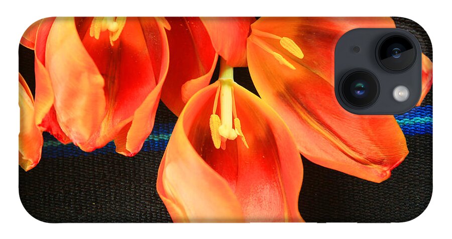Color iPhone Case featuring the photograph Tulip Study by Jeanette French