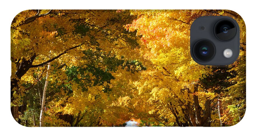 Fall iPhone 14 Case featuring the photograph Tunnel of Yellow Leaves by David T Wilkinson