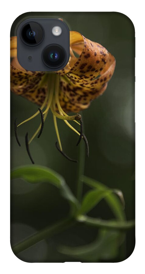 Blue Ridge Mountains iPhone 14 Case featuring the photograph Turks Cap 0002 by Donald Brown