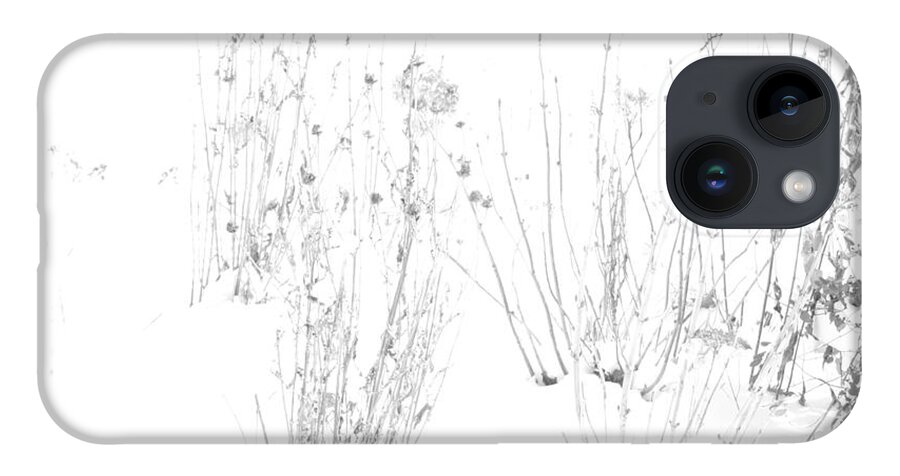Black And White Image iPhone 14 Case featuring the photograph Weeds in Snow by Valerie Collins
