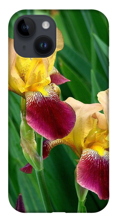 Fine Art iPhone 14 Case featuring the photograph Two Iris by Rodney Lee Williams
