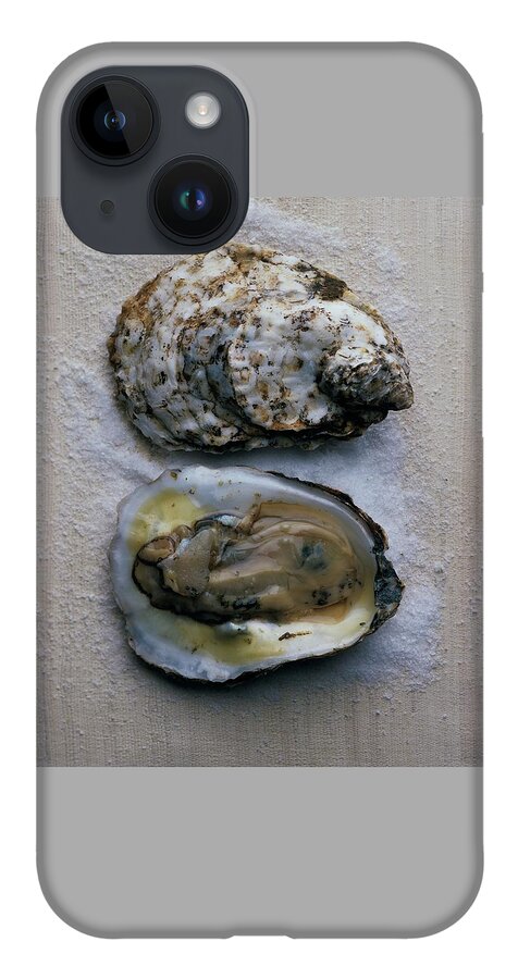 Two Oysters iPhone 14 Case