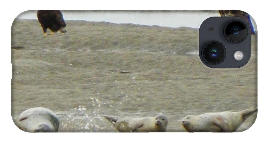 Seals iPhone 14 Case featuring the photograph Unbelievable by Gallery Of Hope 