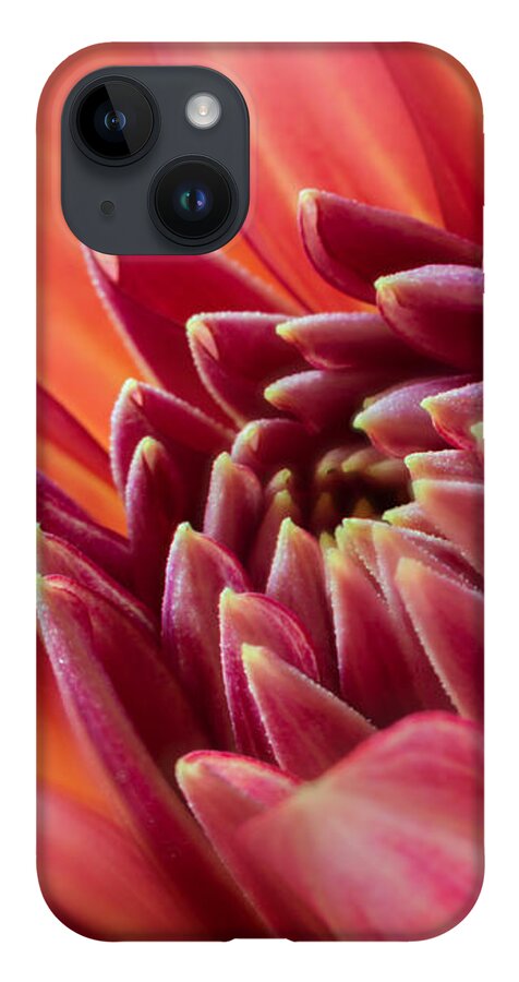 Flower iPhone 14 Case featuring the photograph Uplifting by Mary Jo Allen