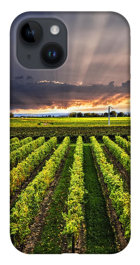 Vineyard iPhone 14 Case featuring the photograph Vineyard and sunset sky by Elena Elisseeva