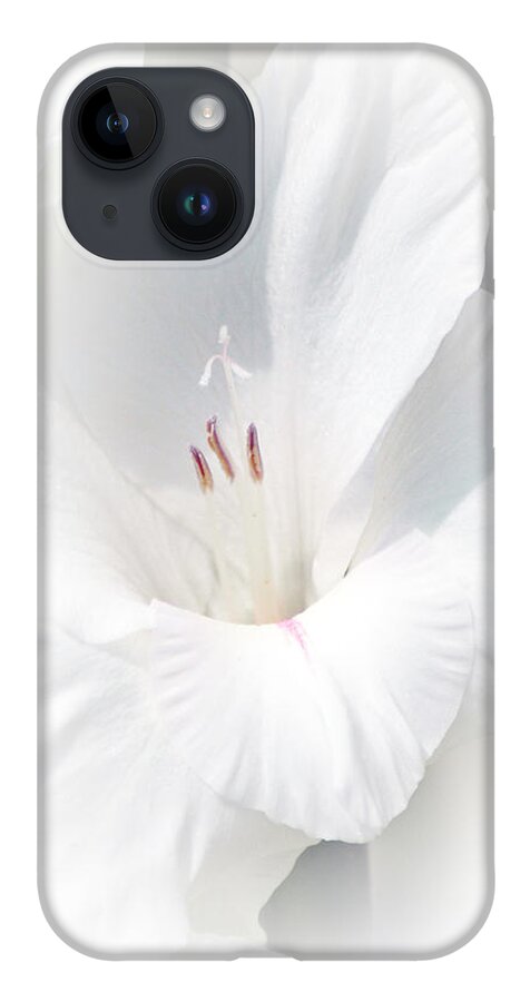 Gladiola iPhone 14 Case featuring the photograph Virginity by David Armstrong