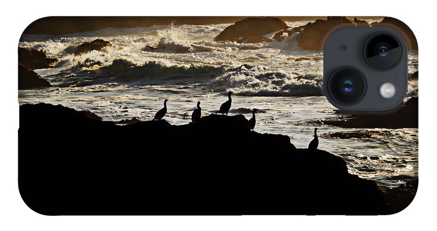Watching The Sun Set iPhone 14 Case featuring the photograph Watching The Sun Set by Christina Ochsner