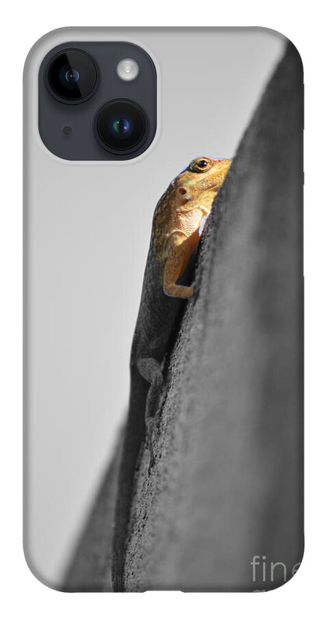 Lizard iPhone 14 Case featuring the photograph Watching You by Laura Forde