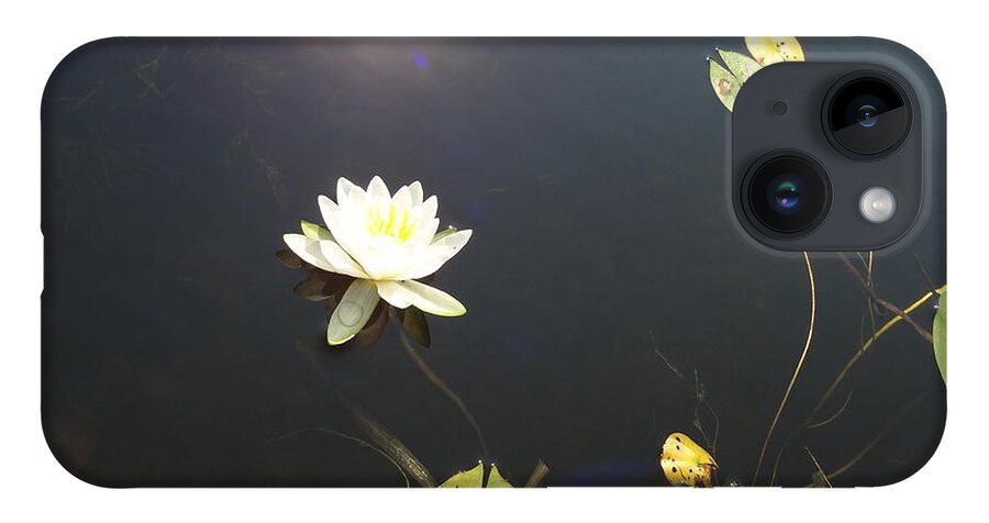 Water Lily iPhone 14 Case featuring the photograph Water Lily by Laurel Best