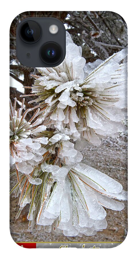 Western Christmas Card iPhone 14 Case featuring the mixed media Western Themed Christmas Card Pine Needles and Ice by Amanda Smith