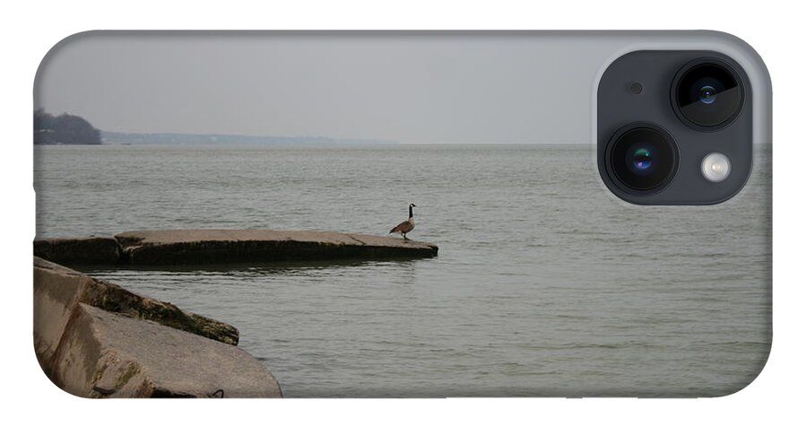 Canadian Geese iPhone Case featuring the photograph Solitude on Lake Erie by Valerie Collins