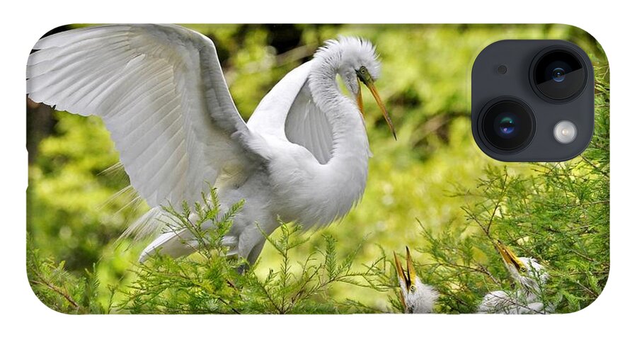 Egret iPhone 14 Case featuring the photograph Where's Our Lunch Ma by Kathy Baccari