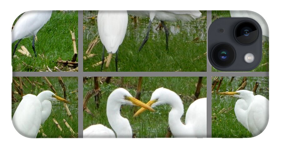 Birds iPhone 14 Case featuring the photograph White Egrets by Gallery Of Hope 