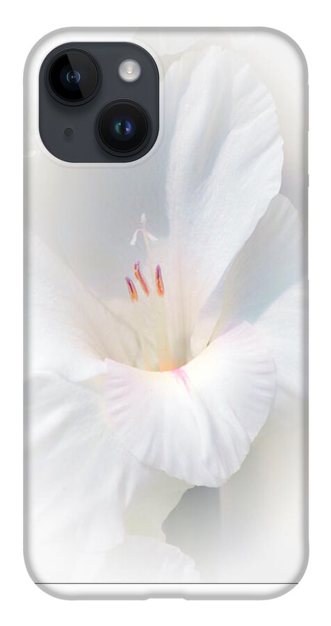 Gladiola iPhone 14 Case featuring the photograph White Glad by David Armstrong