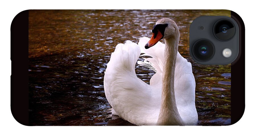 Swan iPhone 14 Case featuring the photograph White Swan by Rona Black