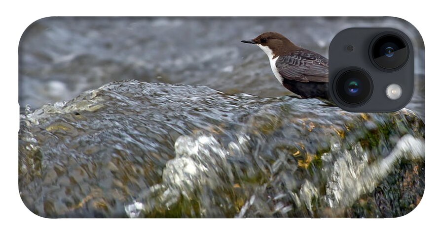 White-throated Dipper iPhone Case featuring the photograph White-throated Dipper by Torbjorn Swenelius