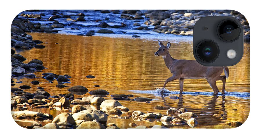 Whitetail Doe iPhone 14 Case featuring the photograph Whitetail Doe Crossing the Buffalo National River by Michael Dougherty