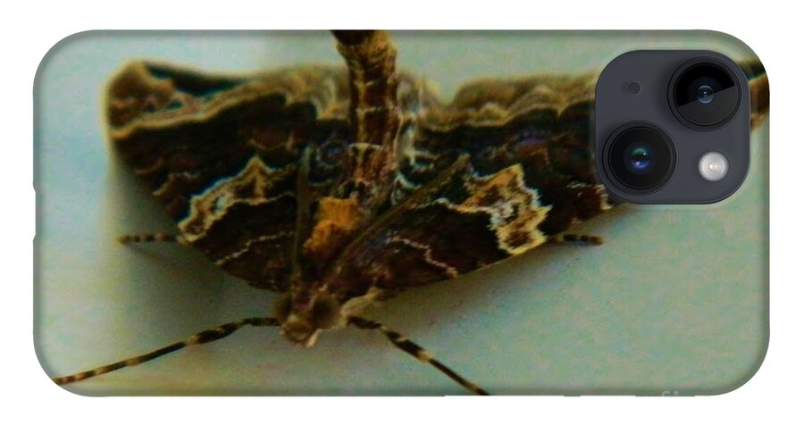 Moth iPhone 14 Case featuring the photograph Wierd Moth 3 by Gallery Of Hope 