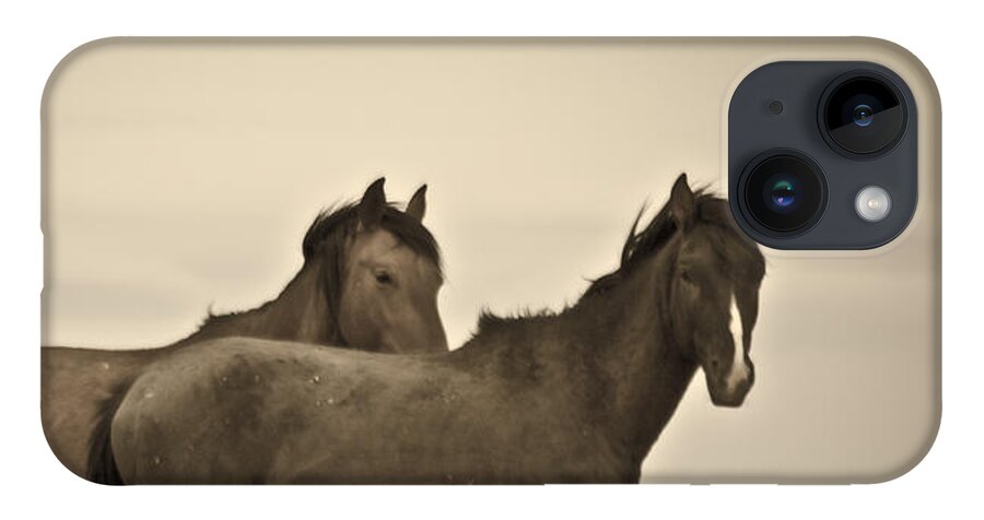 Horses iPhone 14 Case featuring the photograph Wild Mustangs of New Mexico 3 by Catherine Sobredo