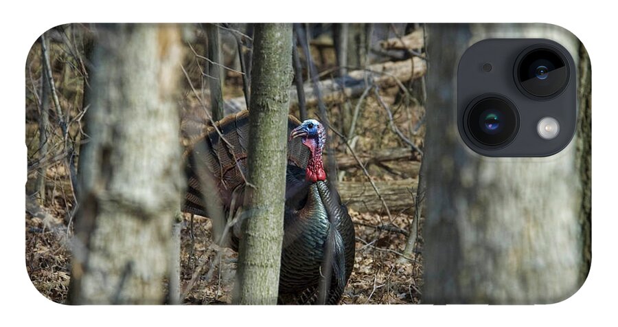 Wild Turkey iPhone 14 Case featuring the photograph Wild Turkey 1 by David Armstrong