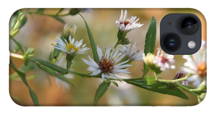 Wild Flower iPhone 14 Case featuring the photograph Wildflowers by Valerie Collins