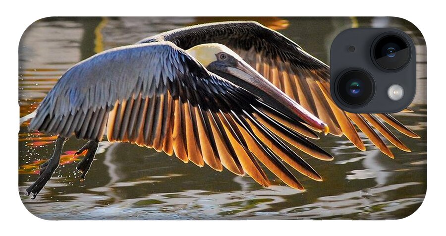 Pelican iPhone 14 Case featuring the photograph Wings Of Gold by Quinn Sedam