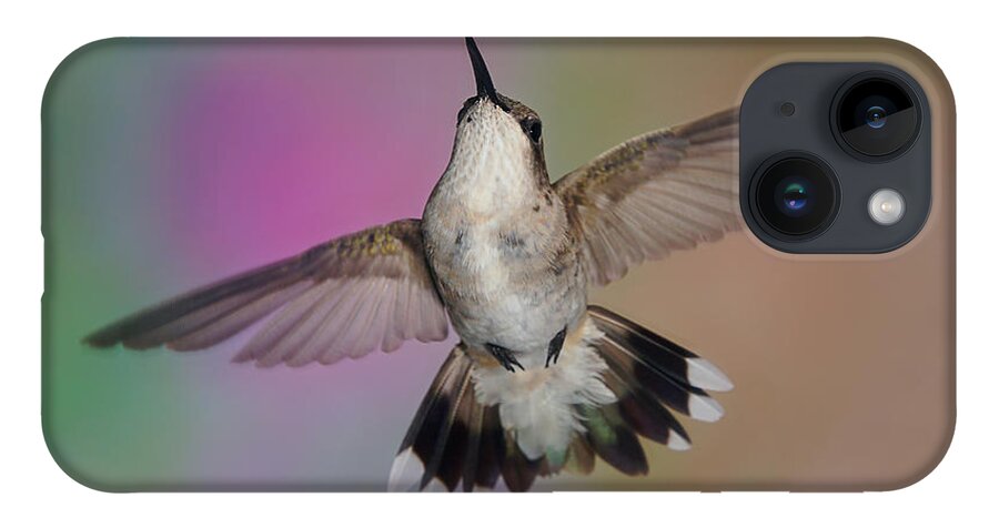 Ruby-throated Hummingbird iPhone 14 Case featuring the photograph Wingspread by Leda Robertson