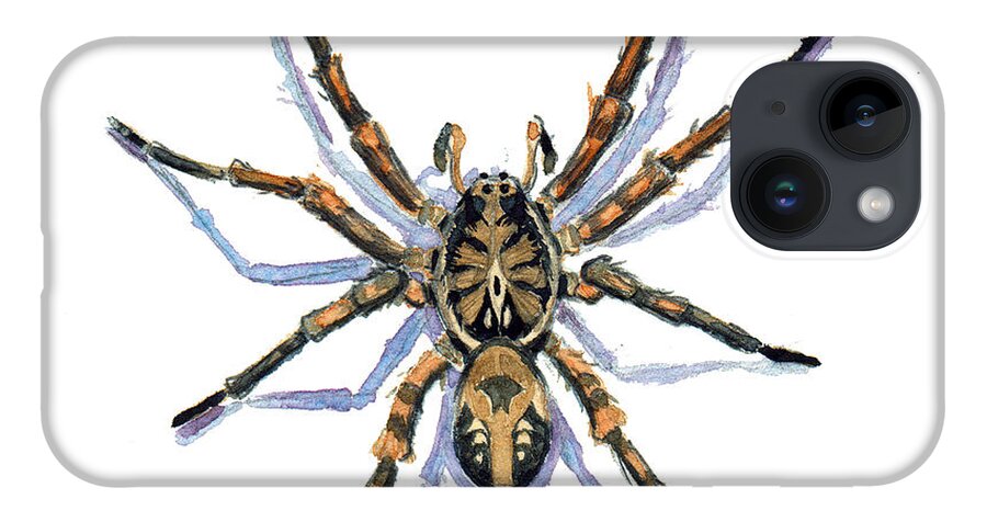 Arachnids iPhone 14 Case featuring the painting Wolf Spider by Katherine Miller