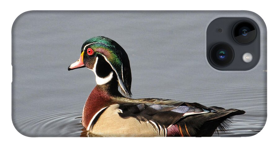Wood Duck iPhone 14 Case featuring the photograph Wood Duck by David Armstrong