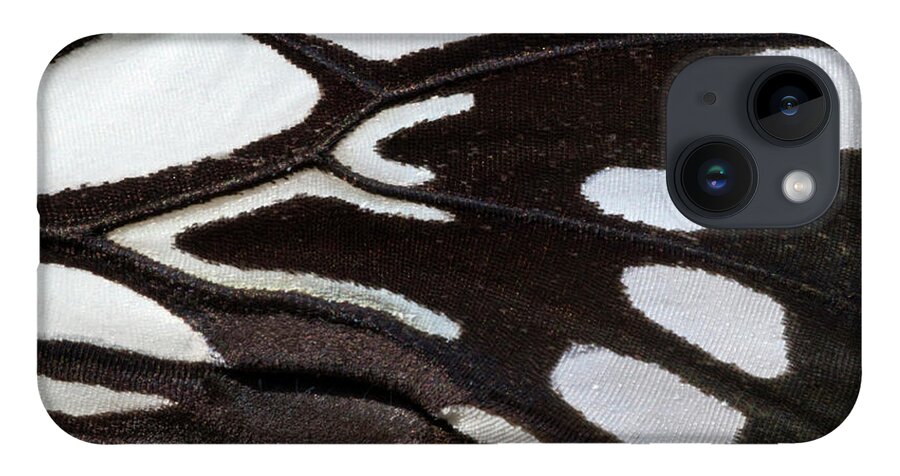 Insect iPhone 14 Case featuring the photograph Wood Nymph Butterfly Wing Markings by Nigel Downer