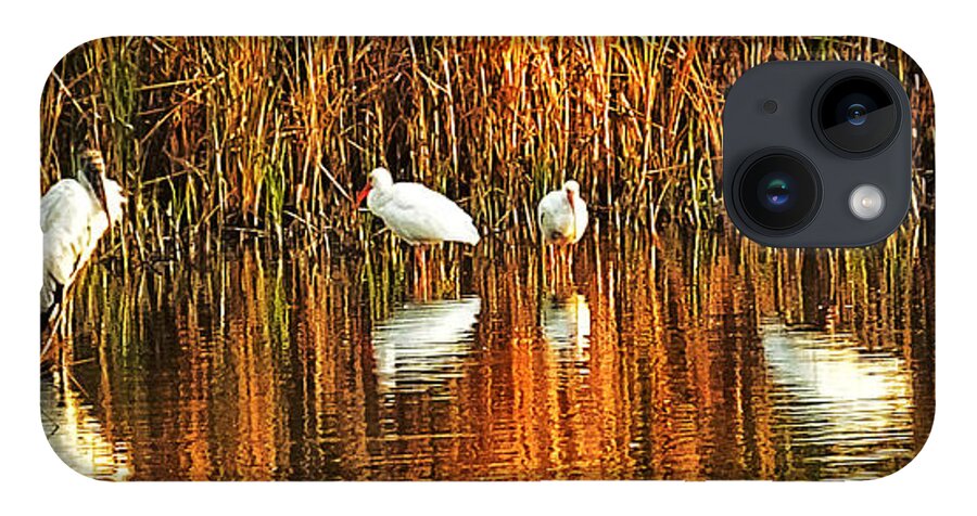 Storks iPhone 14 Case featuring the photograph Wood Storks and 2 Ibis by Bill Barber